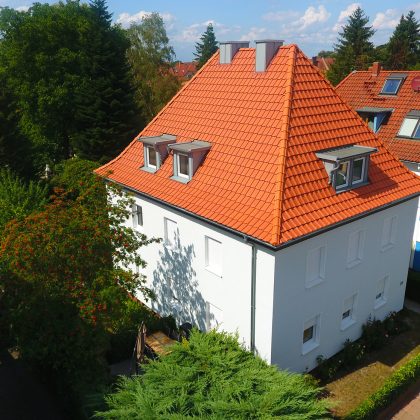 J11v in natuurrood op schilddak vanuit vogelperspectief.