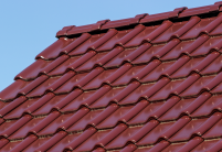 FD-dakpan J11v, vorst F6v en beginvorst in de edel-engobe edelwijnrood met een mooi, egaal dekbeeld.