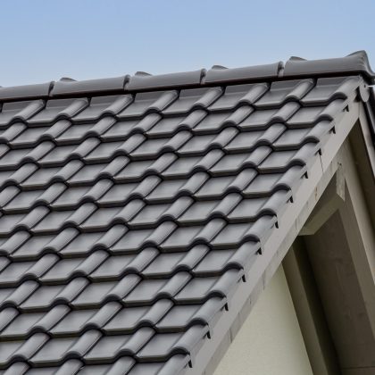 Traumhaft schönes Deckbild auf lavgrau mattem Satteldach mit J11v