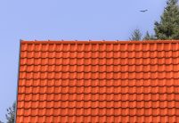 Mooi dekbeeld door de afgevlakte wel van de W6v dakpan.