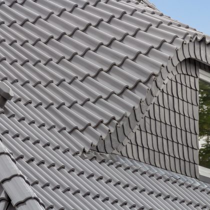 Zilverkleurig grijs Z5-dak met vleermuisgaaf.