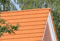 Geveltop van een jeugdcentrum met de keramische Dubbele Holle Dakpan Z2 in natuurrood. Op de foto staan de beginvorst en de linker- en rechtergevelpannen centraal.